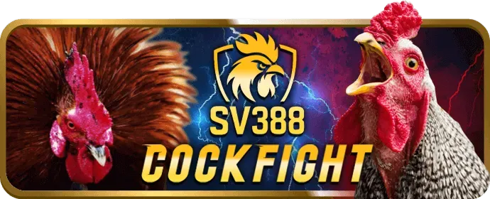 Cách Tối Ưu Hóa Trải Nghiệm Máy Đánh Bạc Tại King88 App